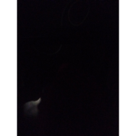 Jake_Legend