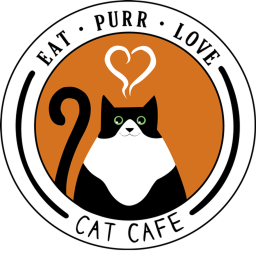Cat Café!