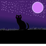 Aesthetics Cat-Clothes