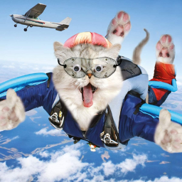 Skydive Australia