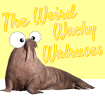 The Weird Wacky Walruses