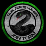 Task Force Mamba