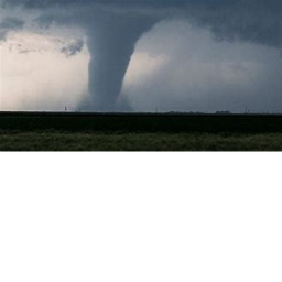 TORNADO SURVIVAL