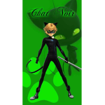 Cat noir fan club