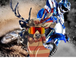 ParkerGamez500