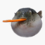 Rilluhasnorizz