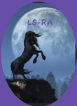 LunaStar Riding Academy