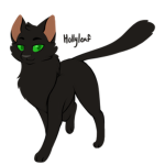 Warrior cats fan group/club