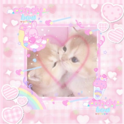 🐾🎀(๑´ω｀๑).