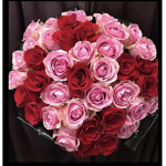 Pink_Flowers