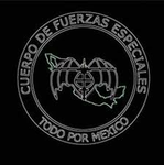 Grupo AeromoviI de Fuerzas Especiales