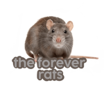 the forever rats