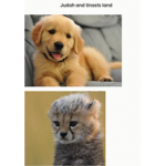 Judah and tinslees land