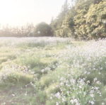elita kaczanowskich ღ