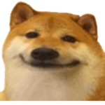 Doog Selling Service