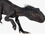 The indo raptor group