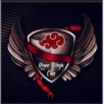 R0gue Offical