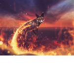 firefoxes :P