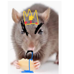 FREEDOM RATS