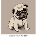 loki the pug