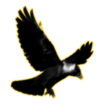 Trash Bird