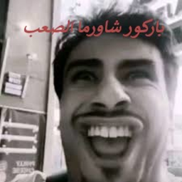 باركور شاورما الحلوين الصعب