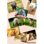 I love animal