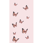 pink butterfliesss