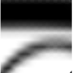 z peterman800 11