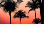 ~KourtKourtYT~