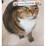 40%할인그룹