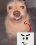 ?CUR$ED?