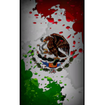 Mexican Check