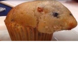 someone baked a hamster into my muffin