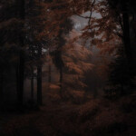 ─── ⋆⋅☆⋅⋆ ──