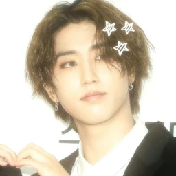 ﹐★﹒Sƚɾαყ Kιԃʂ◞ ̩͙ icon