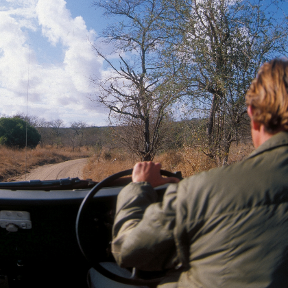 In The Jungle A Roblox music