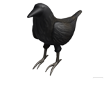 #TEH CROWSQUAD