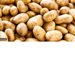 Potato group no no