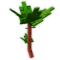 Rhubarb produce
