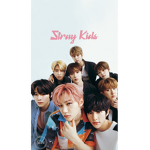 STRAY KIDS!