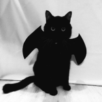 CAΤ