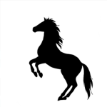 spirit horses of the meadow