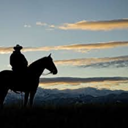 The Wild Wild West {Testing Stages}