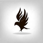 DarkEagle INC.