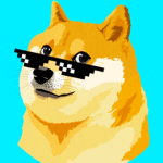 Epic doge family!!