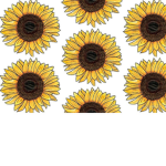 • Sunflower Club •