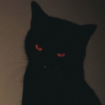 Kitten$!