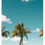 Summer CO.