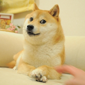 beach+underground fun world